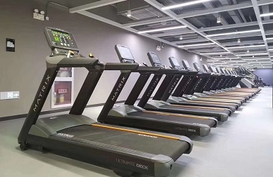 向日葵视频黄色下载最新五星級酒店健身房配置